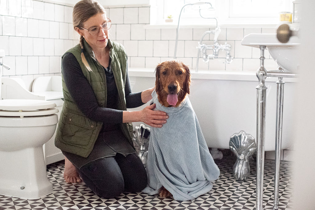 April Showers Bring... Clean Dogs! How to Keep Your Pup Dry and Cozy
