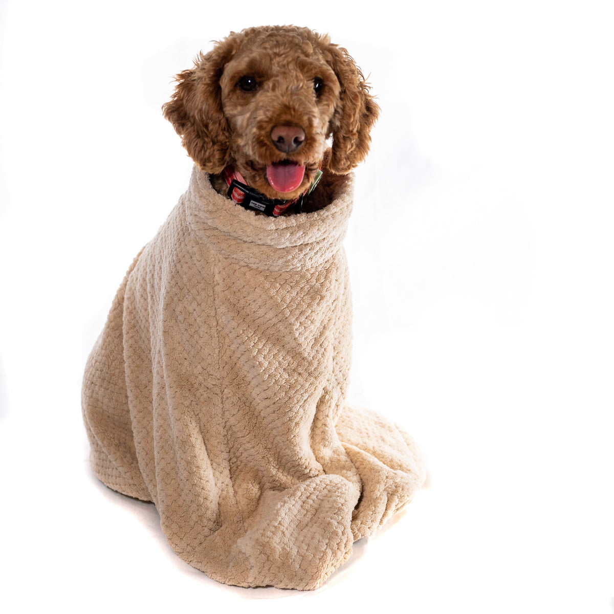 Outlet - Super Absorbent Microfibre Dog Drying Bag - Customer Returns ...