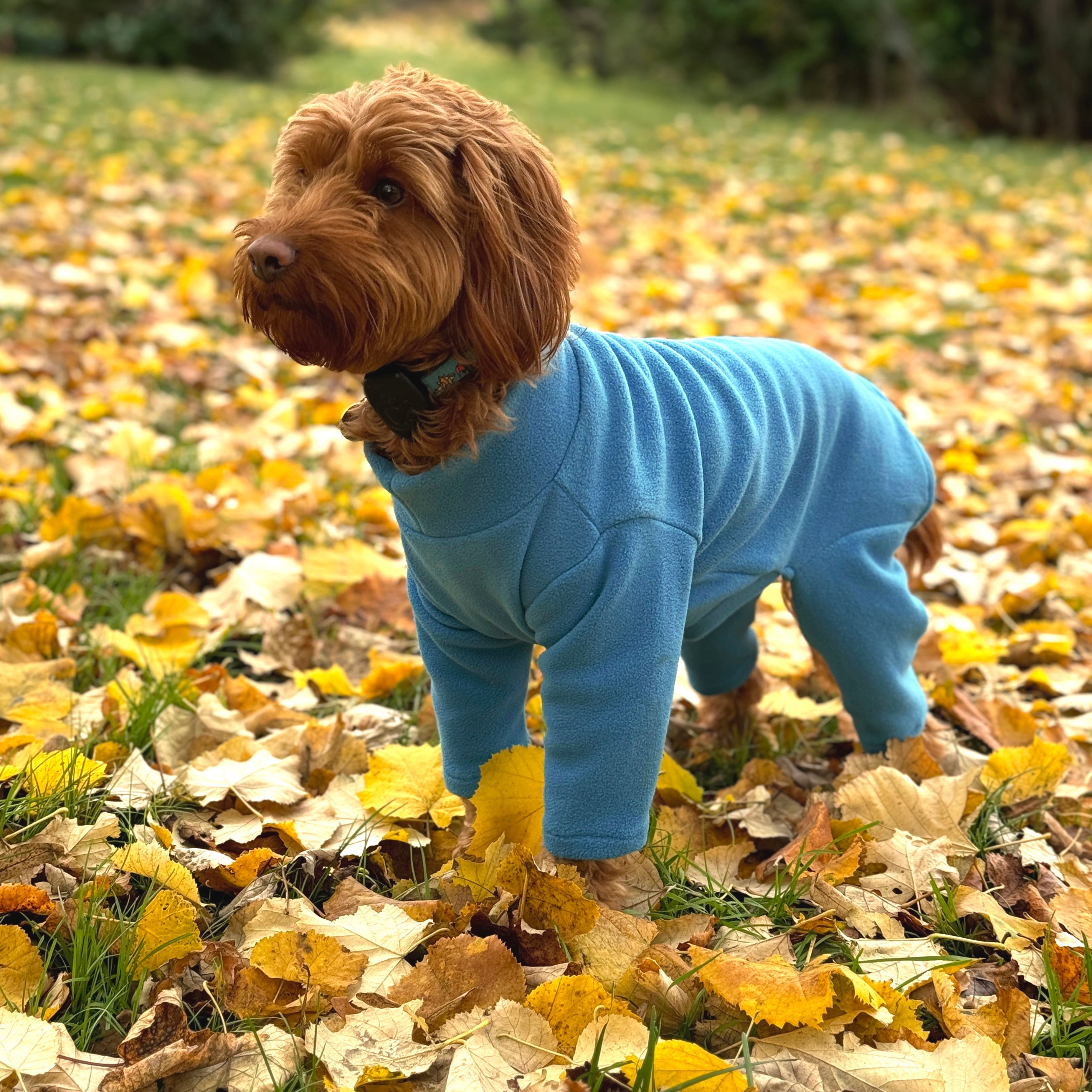 Warm Dog Fleece Jacket – Available In 5 Sizes & 3 Colors (New Customer Returns)
