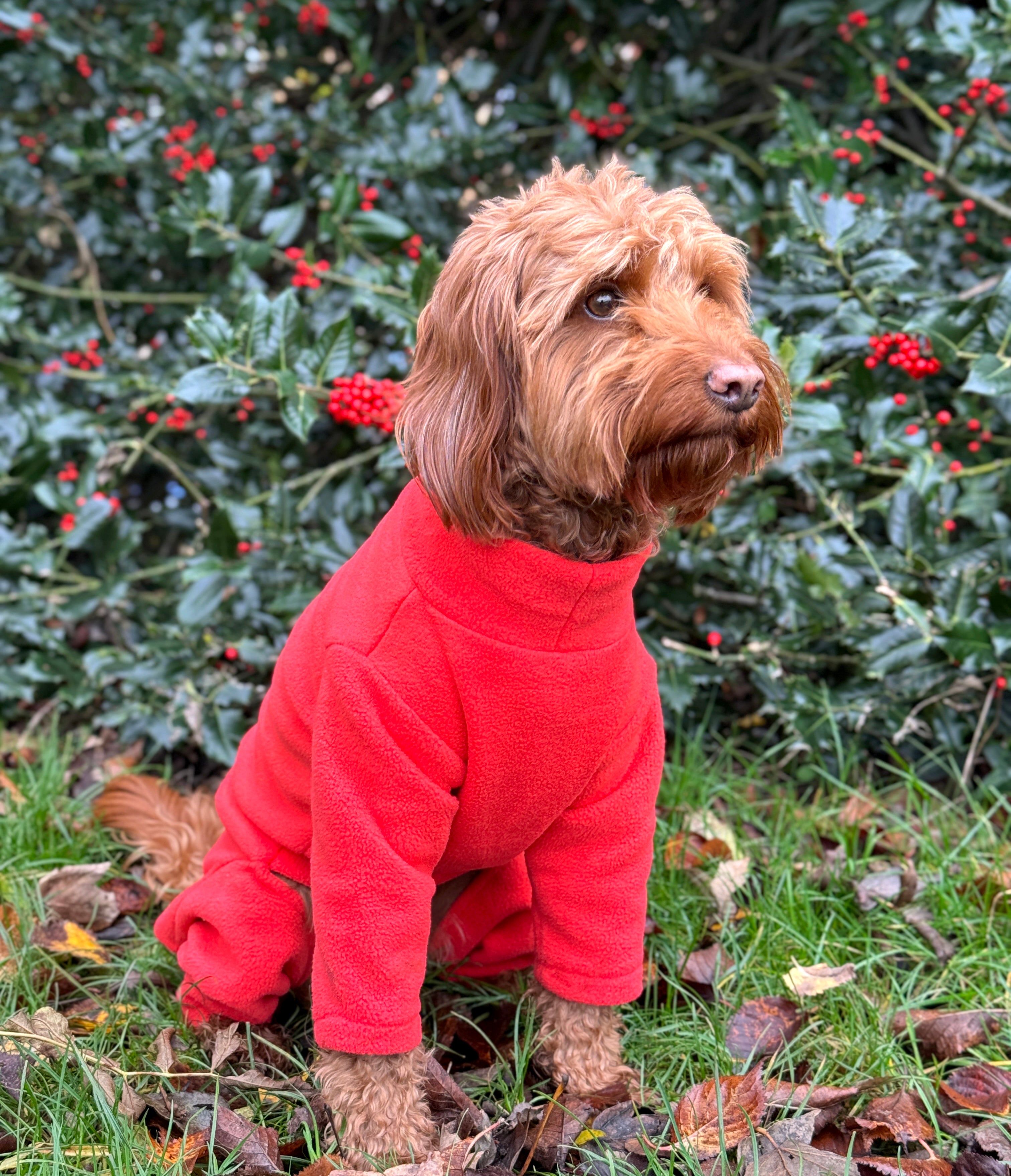 Fleece Cockapoo Dog Coats Cockapoo Dog Jacket UK - Main Image