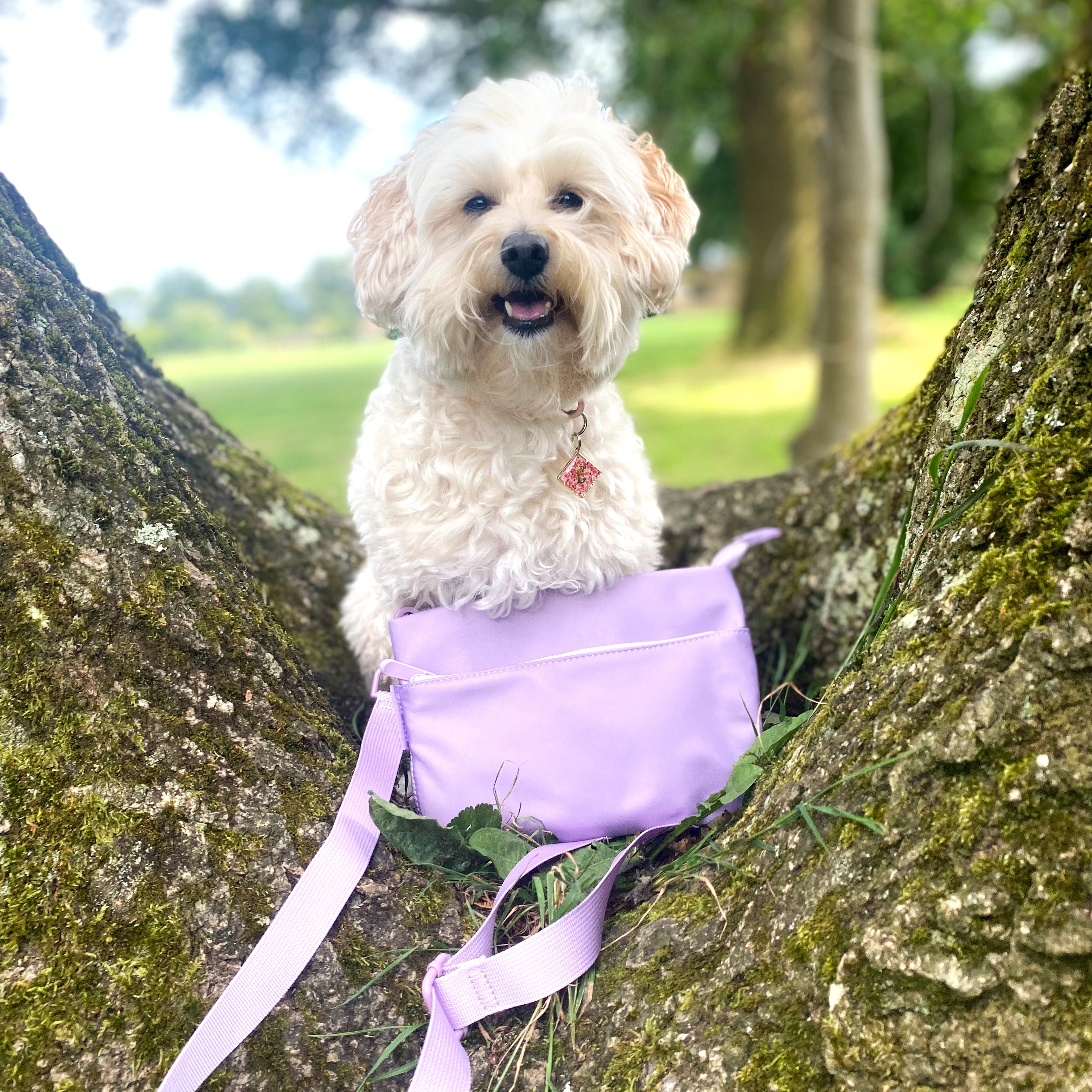 Waterproof Crossbody Dog Walking Bag